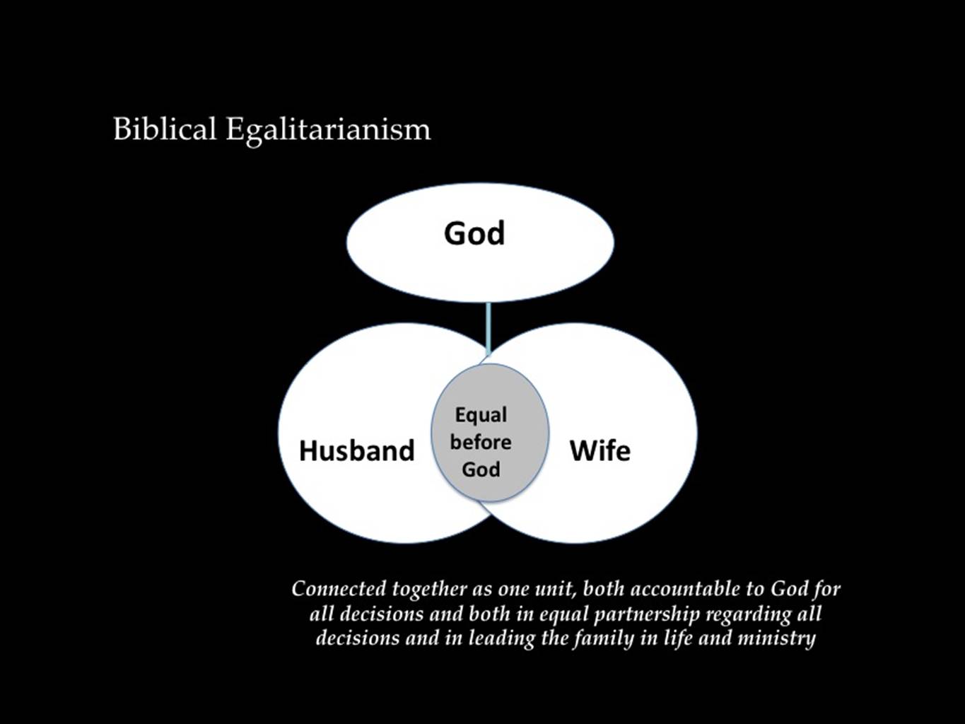 Эгалитаризм. Egalitarianism. Эгалитаризм флаг. Американский эгалитаризм. Эгалитаризм удачи.